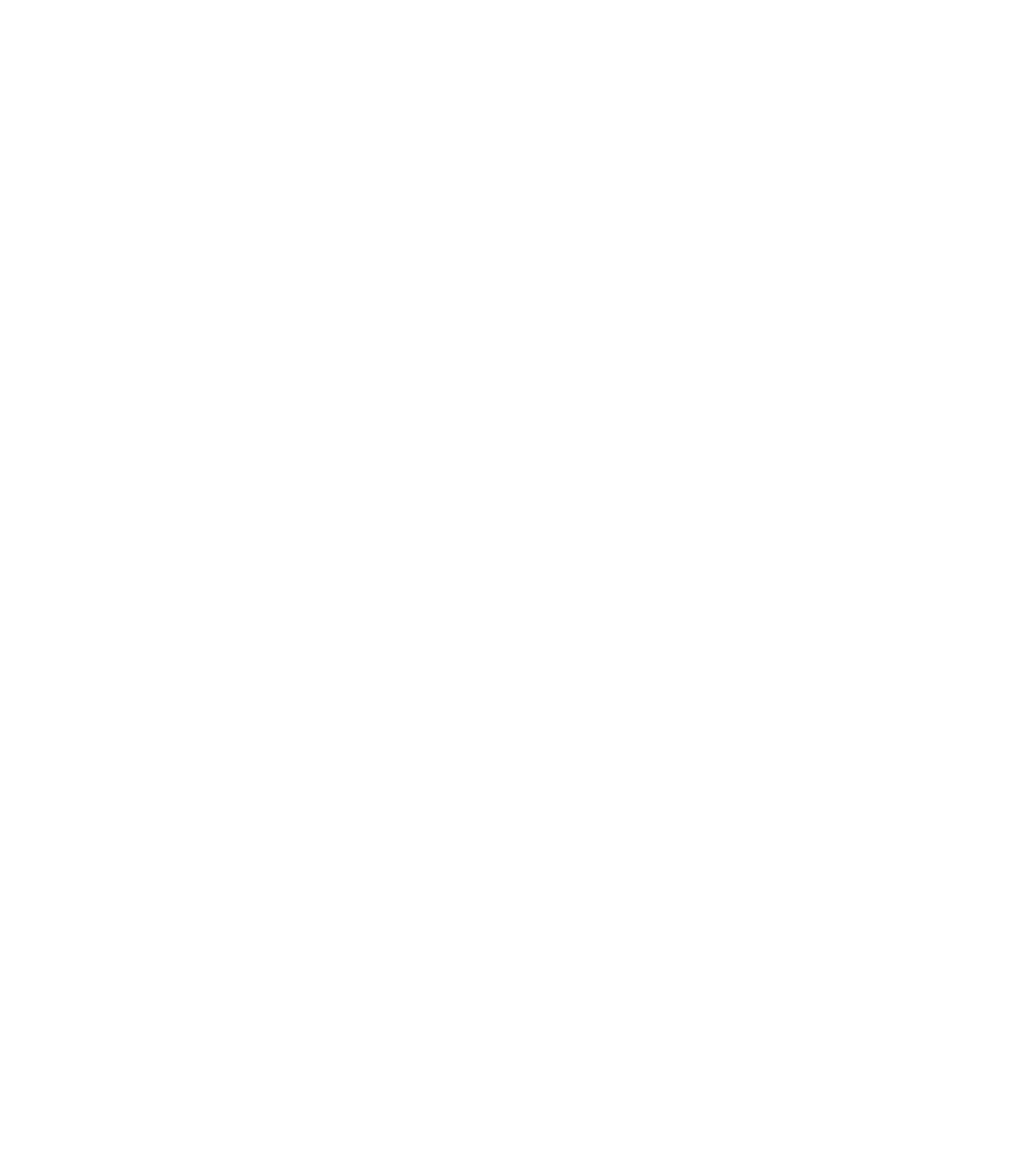 Sveiggj